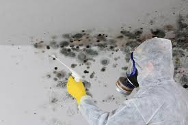 Best Residential Mold Inspection & Testing  in Sophia, WV